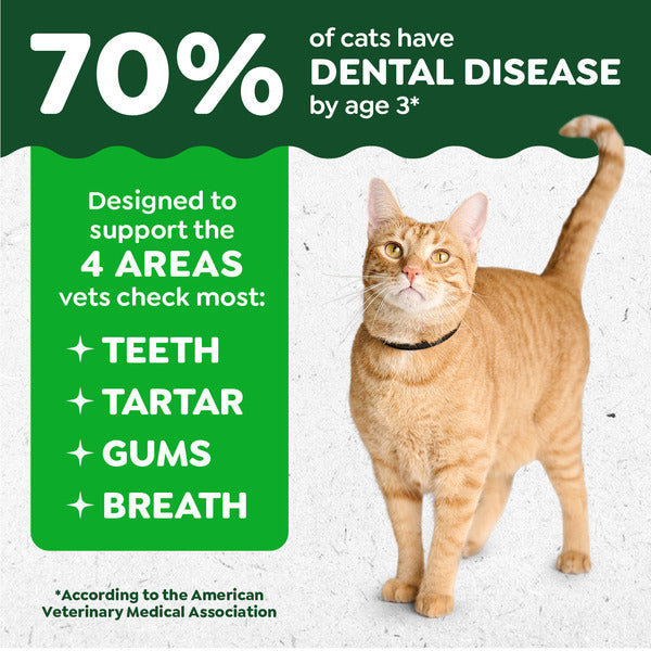 GREENIES Feline Adult Natural Dental Care Cat Treats - Pollo Asado