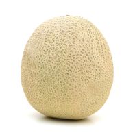 Premium Cantaloupe - Fresh and Juicy