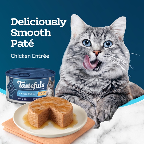 Blue Buffalo Tastefuls Nourriture Humide Naturelle pour Chats Adultes - Paté de Poulet Effiloché