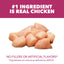 IAMS Proactive Health Comida para Gatos Adultos con Pollo, 3.5 lb
