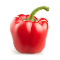 Poivron Rouge Biologique