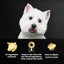 Cesar Loaf in Sauce Adult Wet Dog Food - Grilled Steak & Eggs Flavor