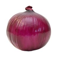 Oignon Rouge Bio