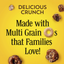 General Mills Cheerios Chocolate Granola