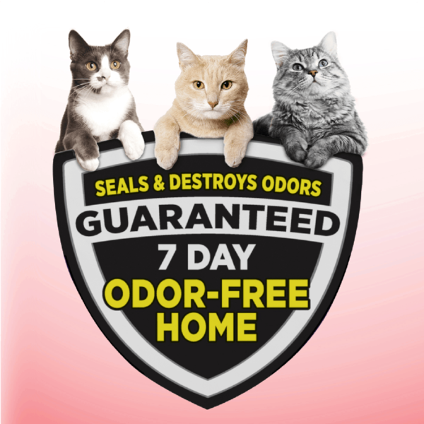 Arm & Hammer Clump & Seal Litière pour Chats