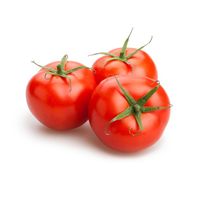 Premium Hydroponic Tomatoes