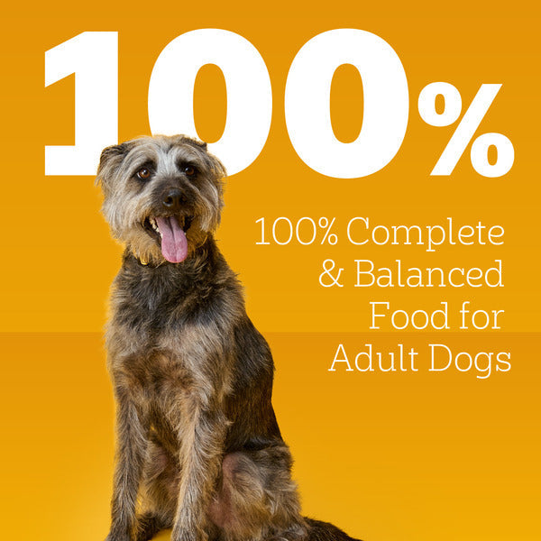 Comida Húmeda para Perros Adultos Pedigree Chopped Ground Dinner con Carne de Res - 12 Latas