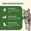Rachael Ray Nutrish Real Chicken & Brown Rice Dry Cat Food - 6 lb