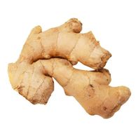Premium Fresh Ginger Root