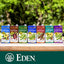 Eden Foods Original Edensoy Extra, Organic Soy Drink