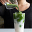 Rishi Tea & Botanicals Everyday Matcha