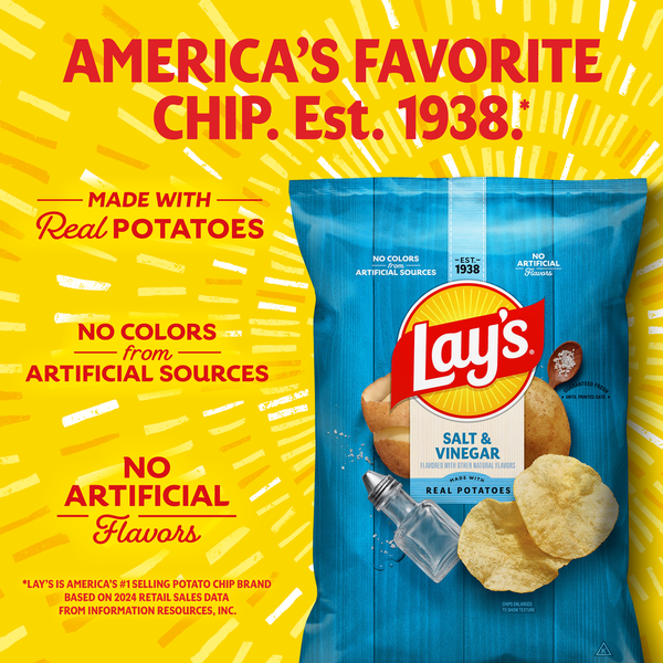 Lay's Salt & Vinegar Potato Chips