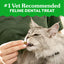 GREENIES Feline Adult Natural Dental Cat Treats, Saveur de Catnip