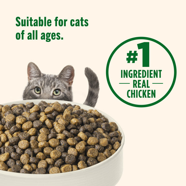 Rachael Ray Nutrish Real Chicken & Brown Rice Dry Cat Food - 6 lb