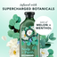 Herbal Essences Eucalyptus + Potent Aloe Conditioner