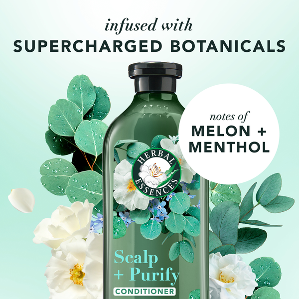 Herbal Essences Eucalyptus + Potent Aloe Conditioner