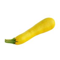 Courgette Jaune Biologique