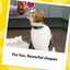TEMPTATIONS Shakeups Crunchy and Soft Cat Treats - Clucky Carnival Flavor