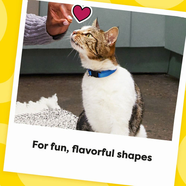 TEMPTATIONS Shakeups Crunchy and Soft Cat Treats - Clucky Carnival Flavor