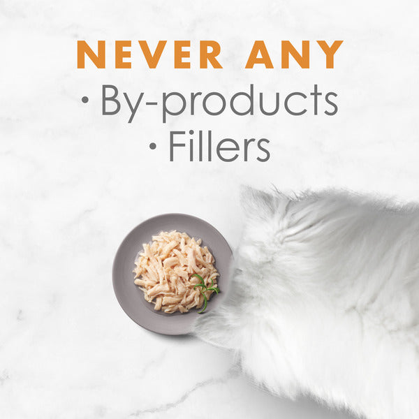 Purina Fancy Feast Broth Nourriture Humide pour Chats, Poulet Blanc