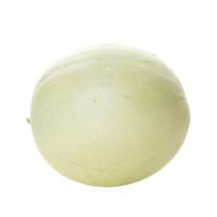 Premium Honeydew Melon