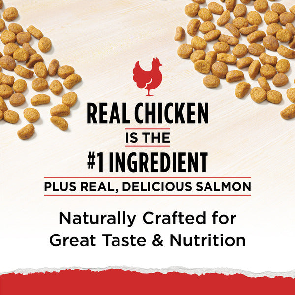 Purina Cat Chow Naturals Original Dry Cat Food