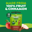 GoGo Squeez Pomme Cannelle Fruitz