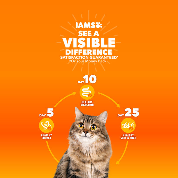IAMS Proactive Health Healthy Senior Dry Cat Food - 3.5 lb