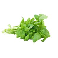 Basilic Thaï Sucré Frais