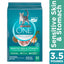 Purina ONE Comida Seca Natural para Gatos, Fórmula para Piel y Estómago Sensibles