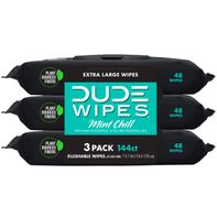 DUDE Wipes Flushable Wipes, Mint Chill, Extra Large