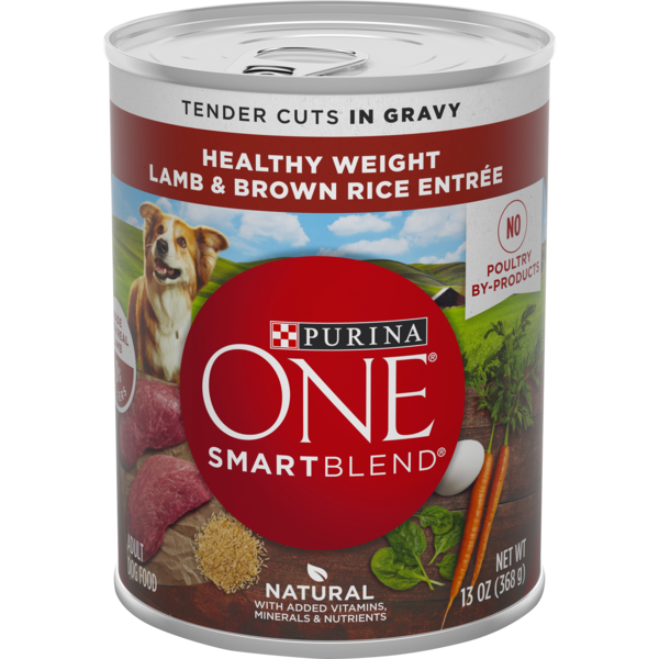 Purina ONE SmartBlend Nourriture pour chiens à poids santé - Agneau et riz brun