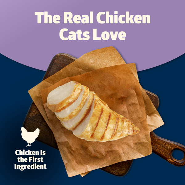 Blue Buffalo Freedom Grain Free Adult Pate Wet Cat Food - Indoor Chicken