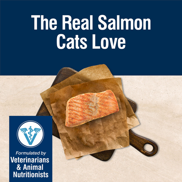 Blue Buffalo True Solutions Parfait pour la Peau et le Pelage Nourriture pour Chats, Saumon