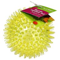 Gnawsome Squeaker Ball - Medium Size for Playful Dogs