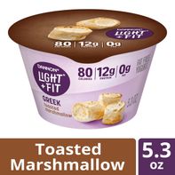 Dannon Light + Fit Toasted Mars Pudding Snack