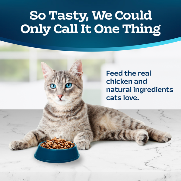 Blue Buffalo Tastefuls Nourriture Sèche Naturelle pour Chats, Poulet et Riz Brun