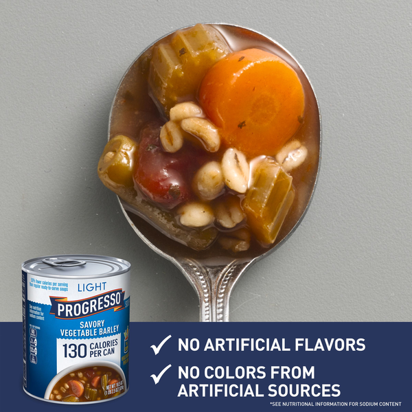 Progresso Light Savory Vegetable Barley Soup