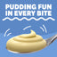 Jell-O Cheesecake Instant Pudding & Pie Filling Mix