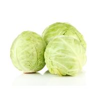 Chou vert biologique