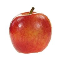 Pomme Jazz - Fruit frais croquant et savoureux