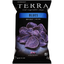 TERRA Blues Sea Salt Real Vegetable Chips