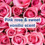 Softsoap Exfoliating Body Wash Gel - Rose & Sweet Vanilla
