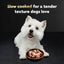 Cesar Loaf in Sauce Adult Wet Dog Food - Smoked Bacon & Egg Flavor