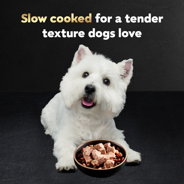 Cesar Loaf in Sauce Adult Wet Dog Food - Smoked Bacon & Egg Flavor