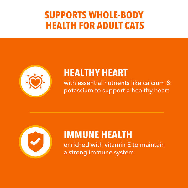IAMS Proactive Health Adult Dry Cat Food con Salmón, 16 lb