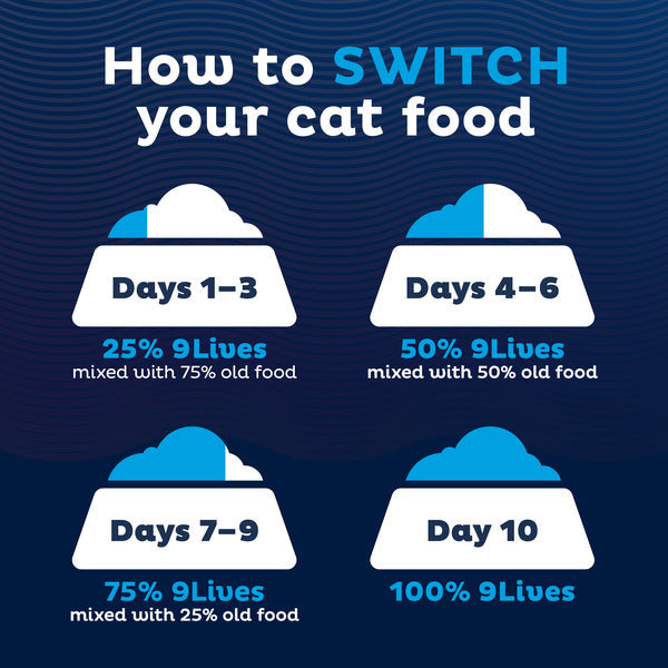 9Lives Daily Essentials Comida Seca para Gatos - Sabores de Pollo, Res y Salmón