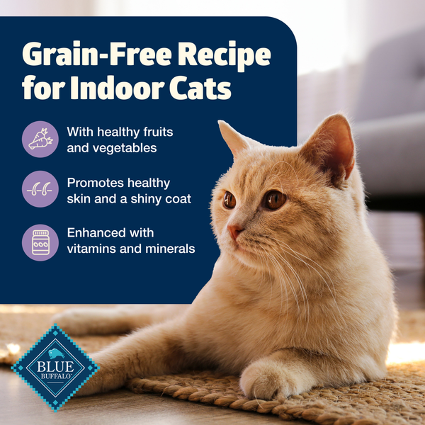 Blue Buffalo Freedom Grain Free Adult Pate Wet Cat Food - Indoor Chicken
