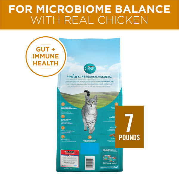 Purina ONE Natural Dry Cat Food - Tender Selects Blend with Real Chicken