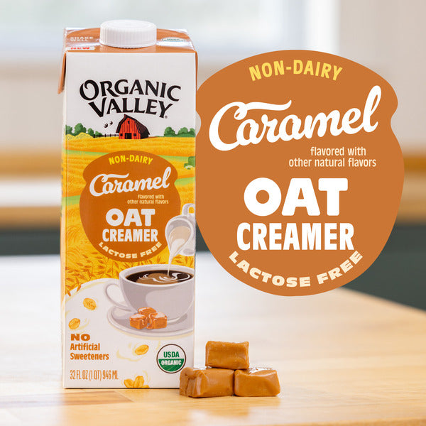 Crème de lait d'avoine biologique au caramel Organic Valley